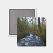 Loopbaan van de Herfsten van Bridal Veil, Oregon Magneet (Voorkant / Achterkant)