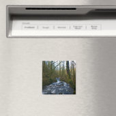 Loopbaan van de Herfsten van Bridal Veil, Oregon Magneet (Insitu (Vaatwasser))