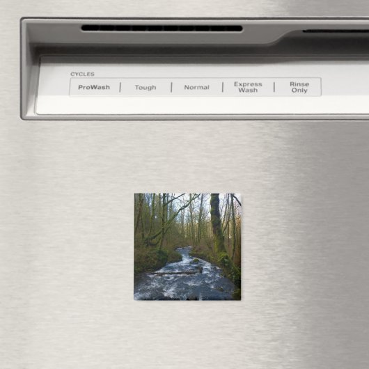 Loopbaan van de Herfsten van Bridal Veil, Oregon Magneet (Insitu (Vaatwasser))