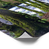 Loopbaan van de Herfsten van Bridal Veil, Oregon Poster (Hoek)