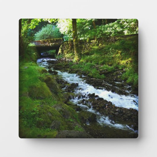 Loopbaan van Wahkeena-Herfsten, OF Fotoplaat (Voorkant)