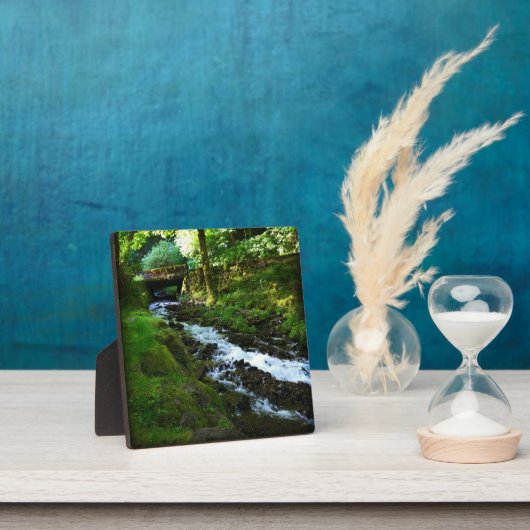 Loopbaan van Wahkeena-Herfsten, OF Fotoplaat (Insitu)