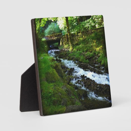 Loopbaan van Wahkeena-Herfsten, OF Fotoplaat (Voorkant)