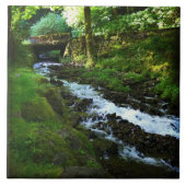 Loopbaan van Wahkeena-Herfsten, OF Tegeltje (Voorkant)