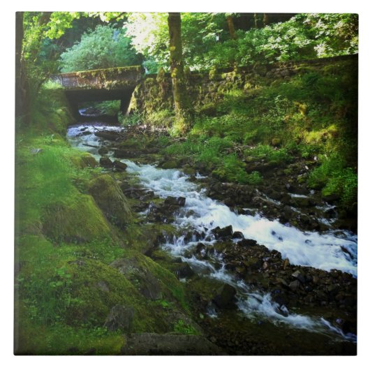 Loopbaan van Wahkeena-Herfsten, OF Tegeltje (Voorkant)