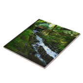 Loopbaan van Wahkeena-Herfsten, OF Tegeltje (Zijkant)