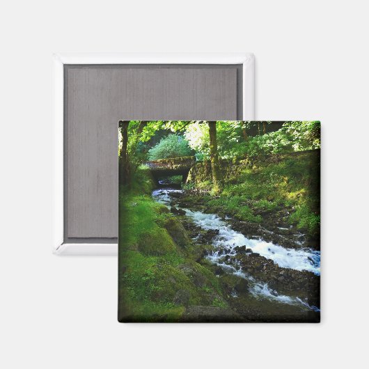 Loopbaan van Wahkeena-Herfsten, Oregon Magneet (Voorkant / Achterkant)