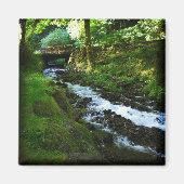 Loopbaan van Wahkeena-Herfsten, Oregon Magneet (Voorkant)