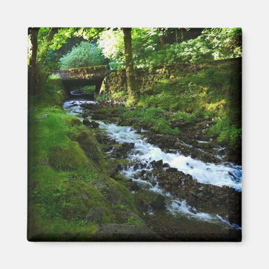 Loopbaan van Wahkeena-Herfsten, Oregon Magneet (Voorkant)