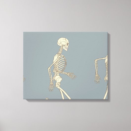 Loopcyclus van menselijk skelet canvas afdruk (Voorkant)