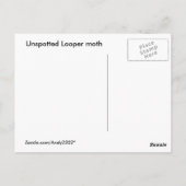 Looper moth ~ briefkaart (Achterkant)