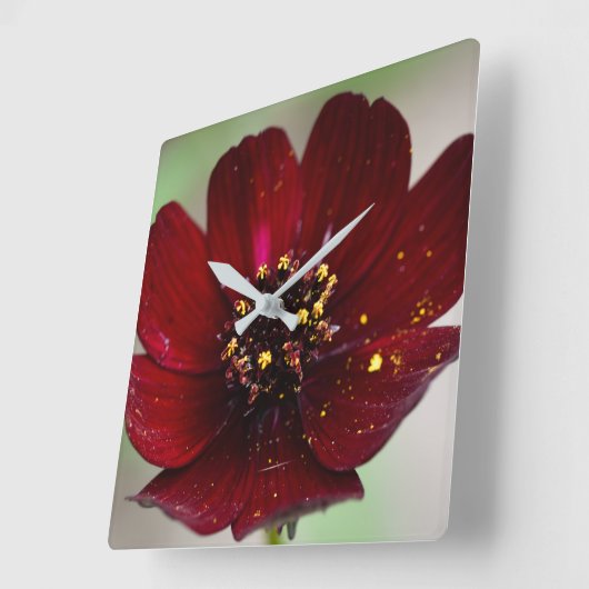 Loopgekleurd chocoladeventiel  vierkante klok (Hoek)