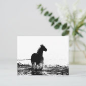 looppaard briefkaart (Staand voorkant)