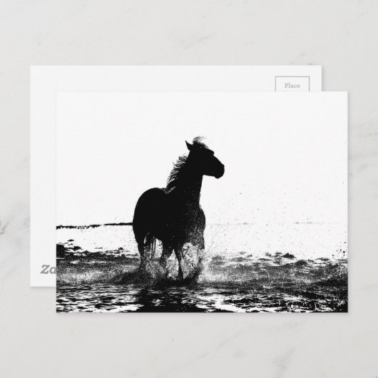 looppaard briefkaart (Voorkant / Achterkant)