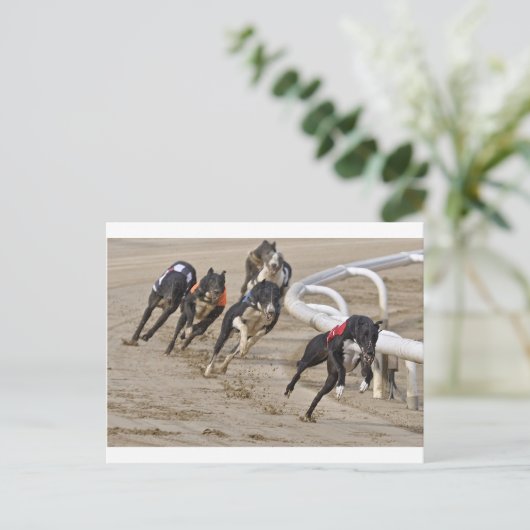 Looppas aan de lijn briefkaart (Staand voorkant)