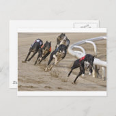 Looppas aan de lijn briefkaart (Voorkant / Achterkant)