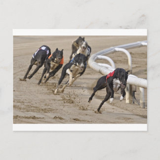 Looppas aan de lijn briefkaart