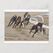 Looppas aan de lijn briefkaart (Voorkant)