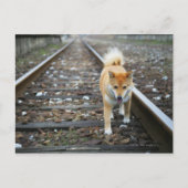 Loopspoor Briefkaart (Voorkant)