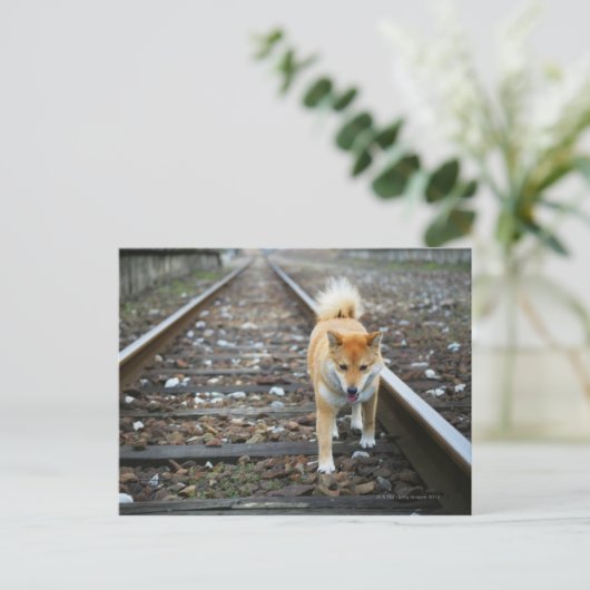 Loopspoor Briefkaart (Staand voorkant)