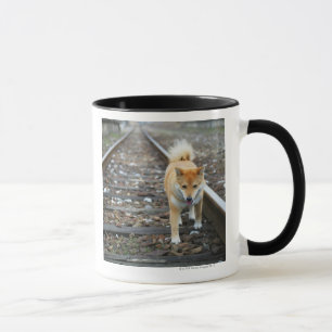 Loopspoor Mok