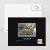 Looptijd Briefkaart (Voorkant / Achterkant)