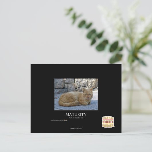 Looptijd Briefkaart (Staand voorkant)