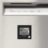 Looptijd Magneet (Insitu (Vaatwasser))