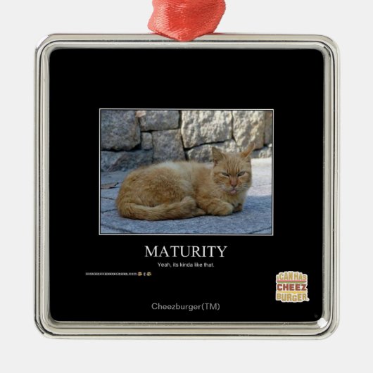 Looptijd Metalen Ornament (Voorkant)