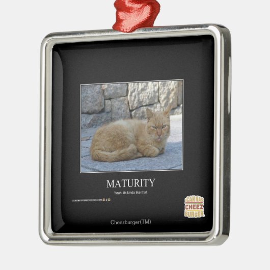 Looptijd Metalen Ornament (Links)