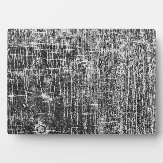 loopvlakplaat fotoplaat (voorkant)