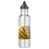 LOOS WATERFLES WATERFLES  (Links)