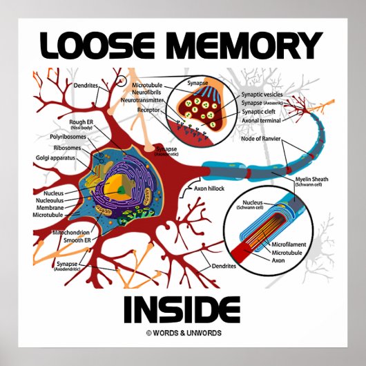 Loose Memory Inside (Neuron / Synapse) Poster (Voorkant)
