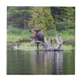 Loose Tegeltje (Voorkant)