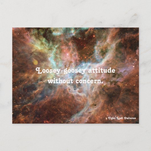 Loosey-goosey Briefkaart (Voorkant)