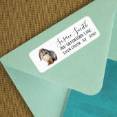 Lop Bunny Script Adres Etiket