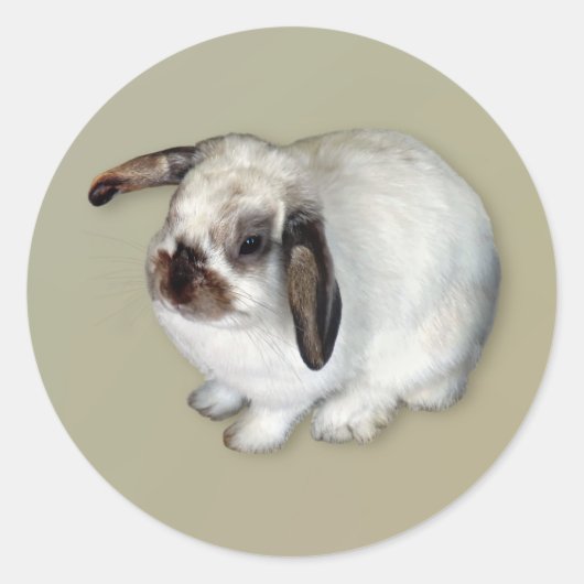Lop-Eared Bunny Ronde Sticker (Voorkant)