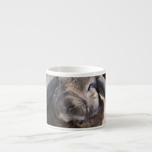 Lop Eared Rabbit Espresso Kop
