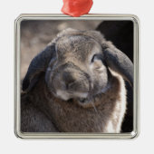 Lop Eared Rabbit Metalen Ornament (Voorkant)