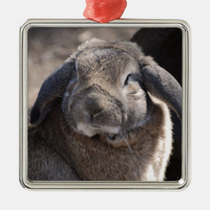 Lop Eared Rabbit Metalen Ornament