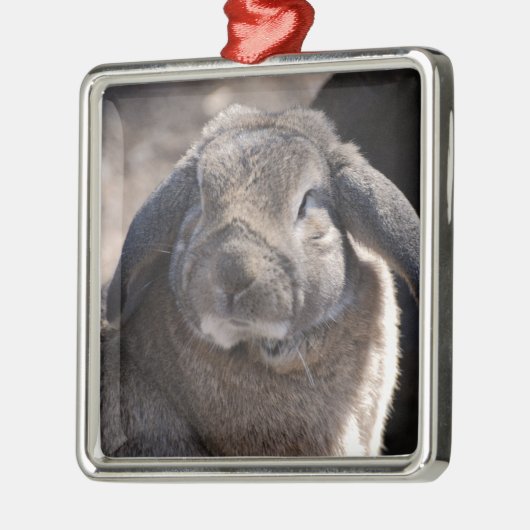 Lop Eared Rabbit Metalen Ornament (Links)