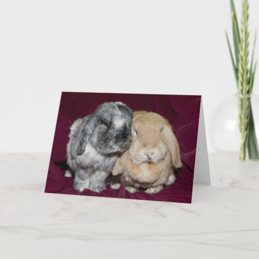 Lop Eared Rabbit Pair Kaart (Voorkant)