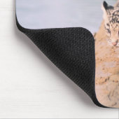 Lopard cubs op log muismat (Hoek)