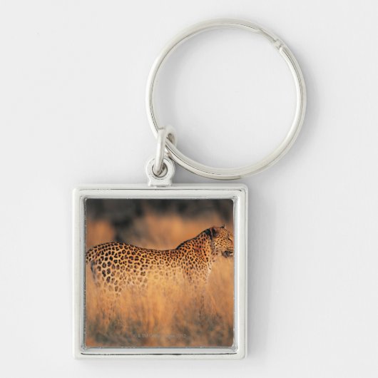 Lopard (Panthera pardus) Sleutelhanger (Voorkant)
