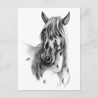 Lopard spotted Horse sk127 Briefkaart