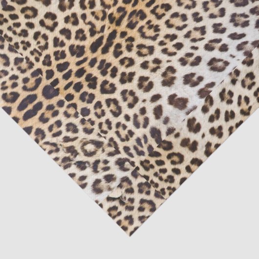 Lopardhaar Tissuepapier (Detail)