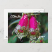 Lopedventilatorontwerp Briefkaart (Voorkant / Achterkant)