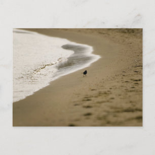 Lopen Briefkaart