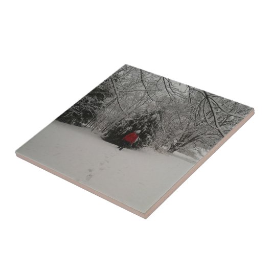 Lopen in een winterland tegeltje (Zijkant)