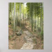Lopen met Bamboo Poster (Voorkant)